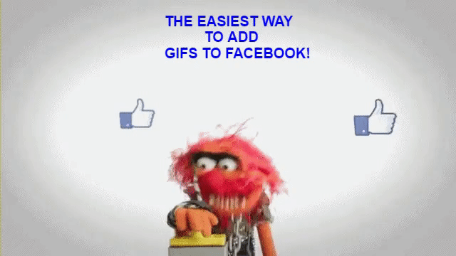 How To Add a GIF to Facebook!