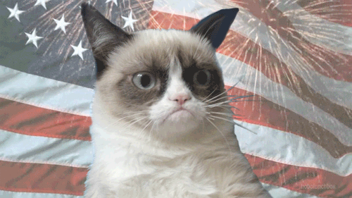 July 4th GIFS of Grumpy Cat in Front of Flag