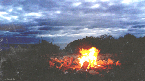 camp fire on the beach summer nature gifs