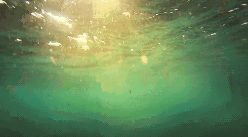 water with sun shining through summer nature gifs