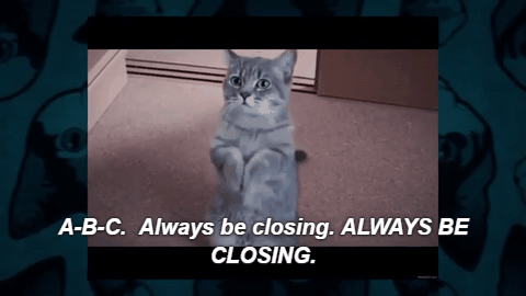 Cat Gifs with sound